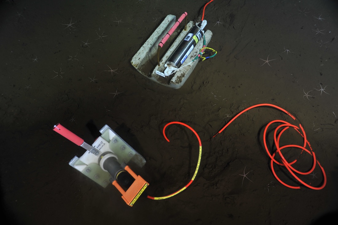 Seafloor pressure gauge